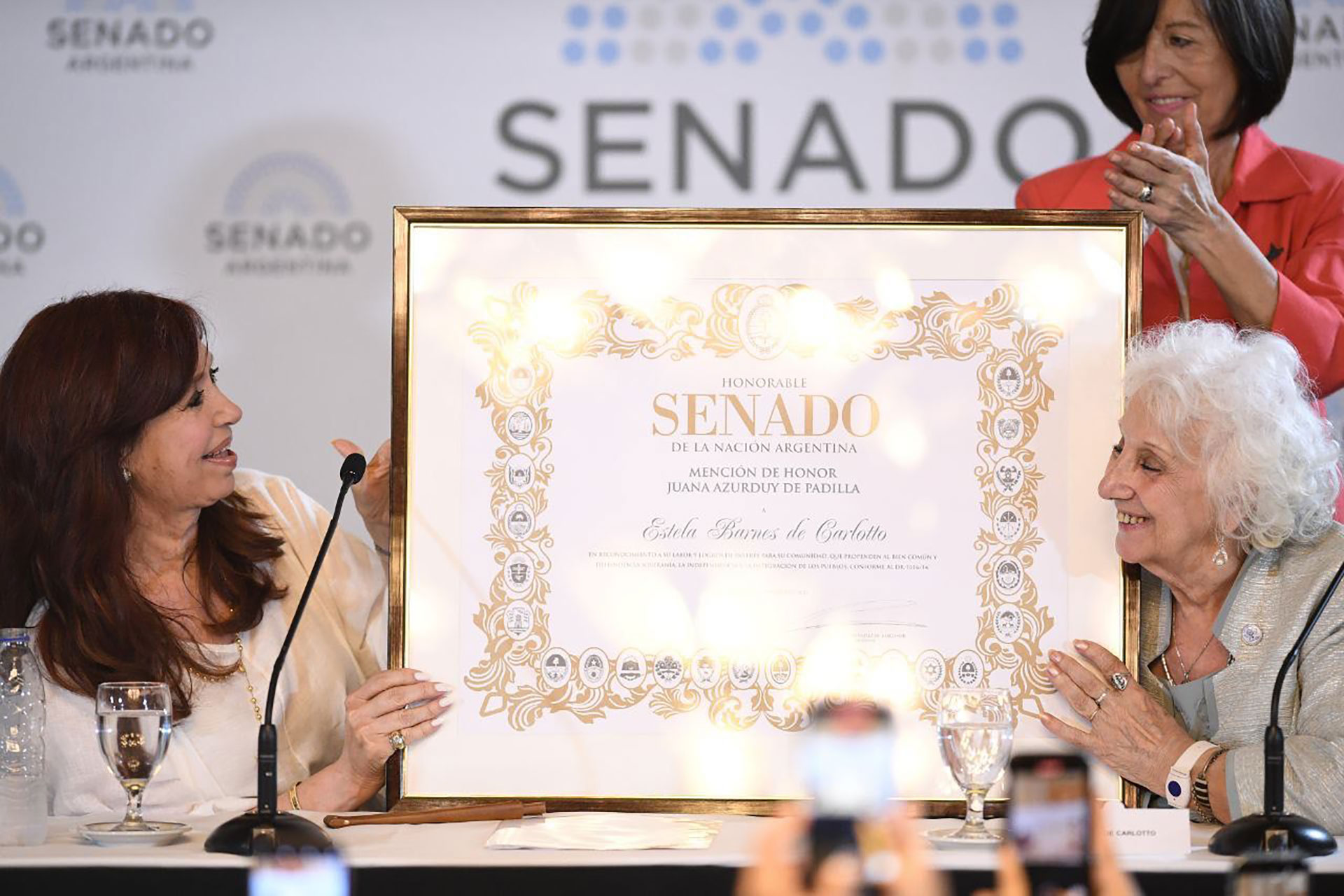 La vicepresidenta Cristina Kirchner le entregó la mención de honor "Juana Azurduy" a Estela de Carlotto en el Senado