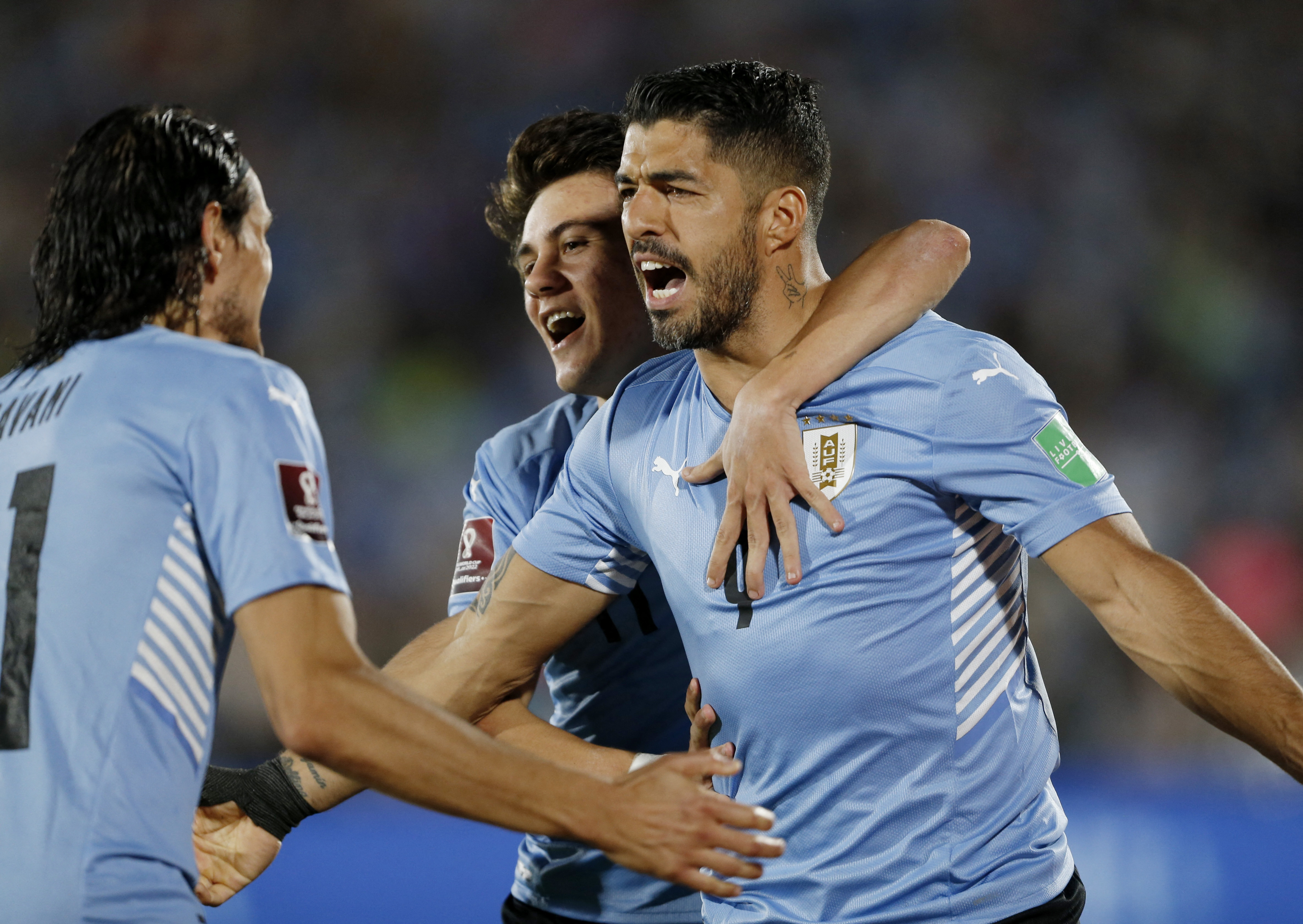 Selección Uruguay Eliminatorias Catar 2022 bajas de Lucas Torreira y Diego  Rossi, Selecciones Nacionales