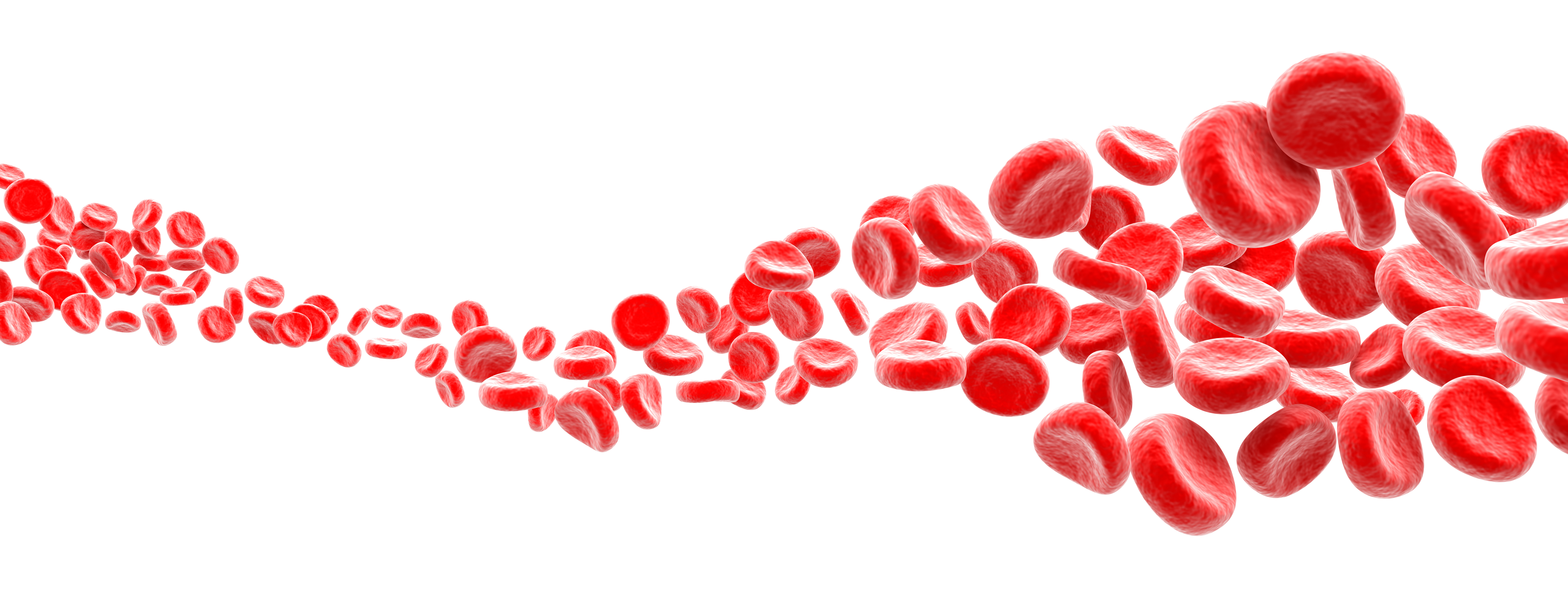 Las plaquetas ayudan a que la sangre se coagule aglutinándose para taponar pequeños agujeros en los vasos sanguíneos dañados