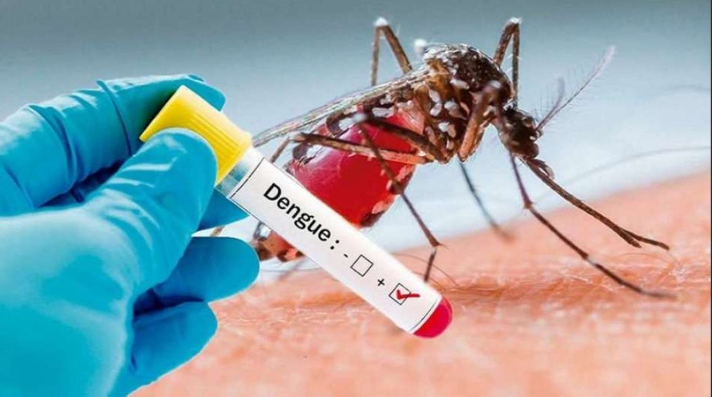 Dengue en Argentina: confirmaron una muerte y casi 5.000 casos de la infección