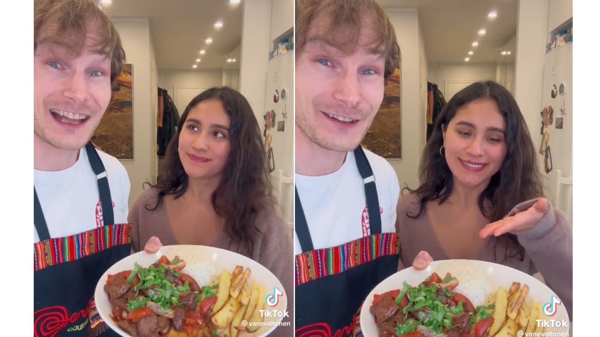 Lomo saltado de reno, la fusión gastronómica de un finlandés que se volvió viral en TikTok. (@vanevaltonen)