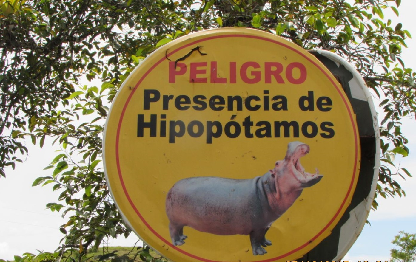 Alerta de hipopótamos en la antigua hacienda de Pablo (Europa Press)