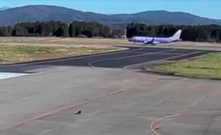 Jury a Julieta Makintach: llegó el turno de declarar de Dalma y Gianinna Maradona