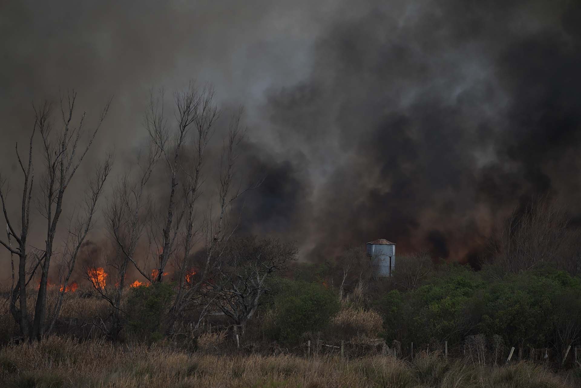 Una casa en medio del fuego en el Delta del Paraná. No sólo el ecosistema está amenazado (Foto: Franco Fafasuli)