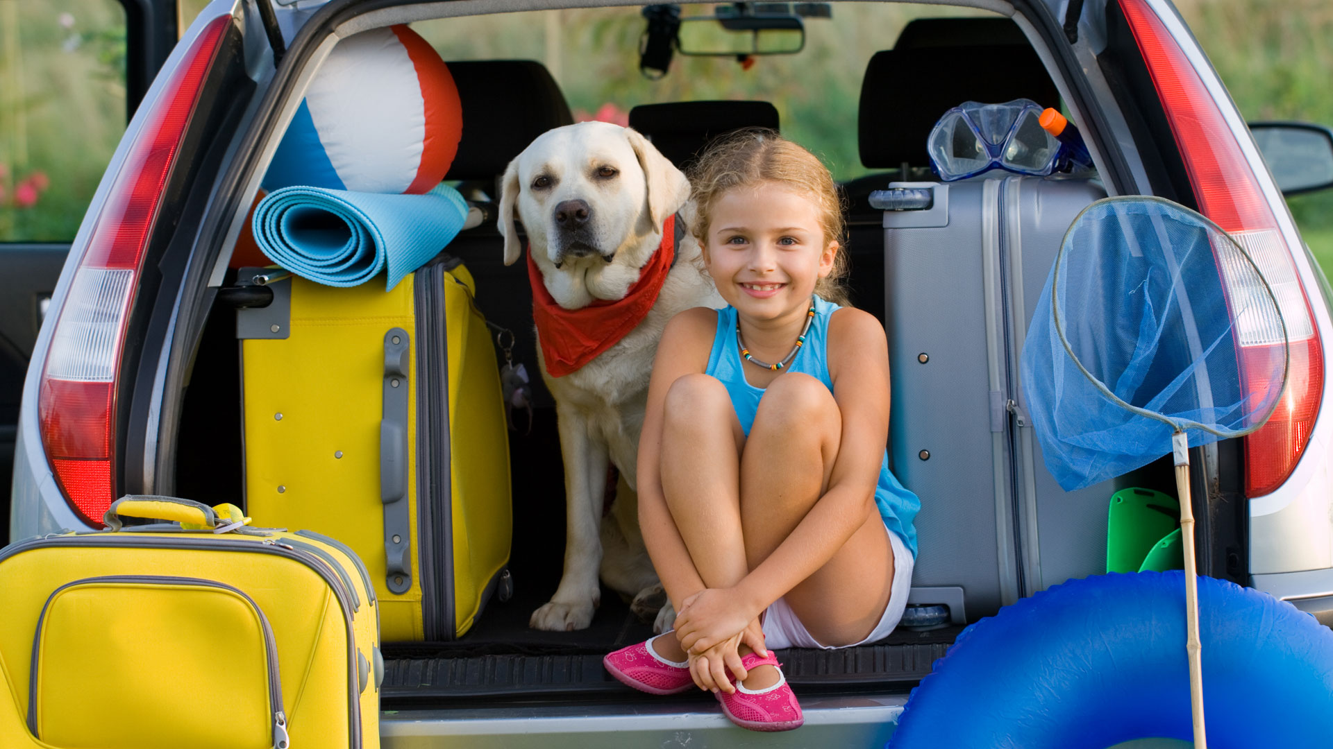 Viajes pet friendly: ¿qué hacer con tu perro y cómo cuidarlo?