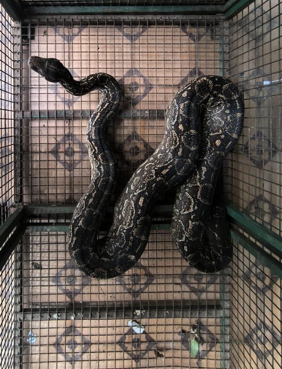 Matko Miljevic fue desafectado del partido de Racing tras sufrir un intento de robo: 