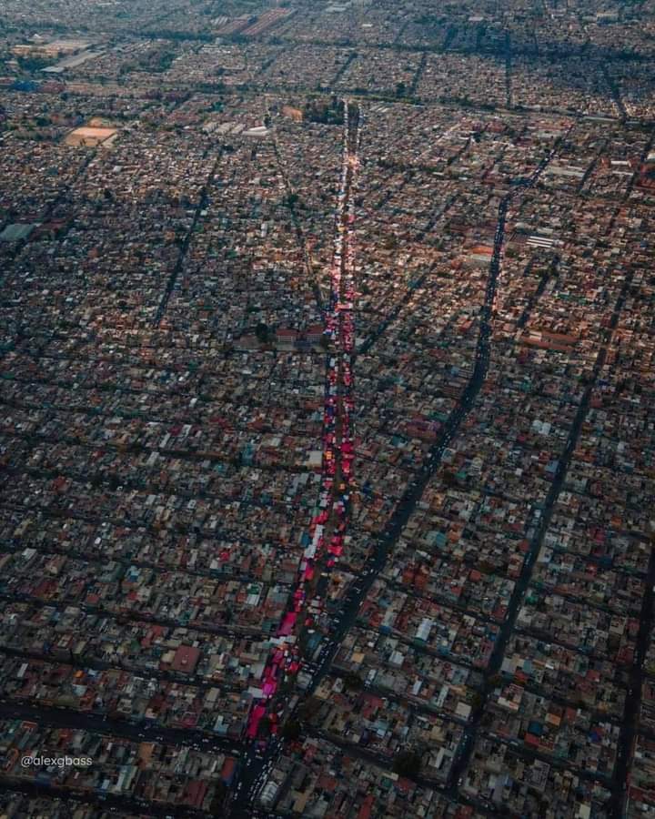 Cuál es el tianguis más grande de la Ciudad de México y dónde se encuentra  - Infobae
