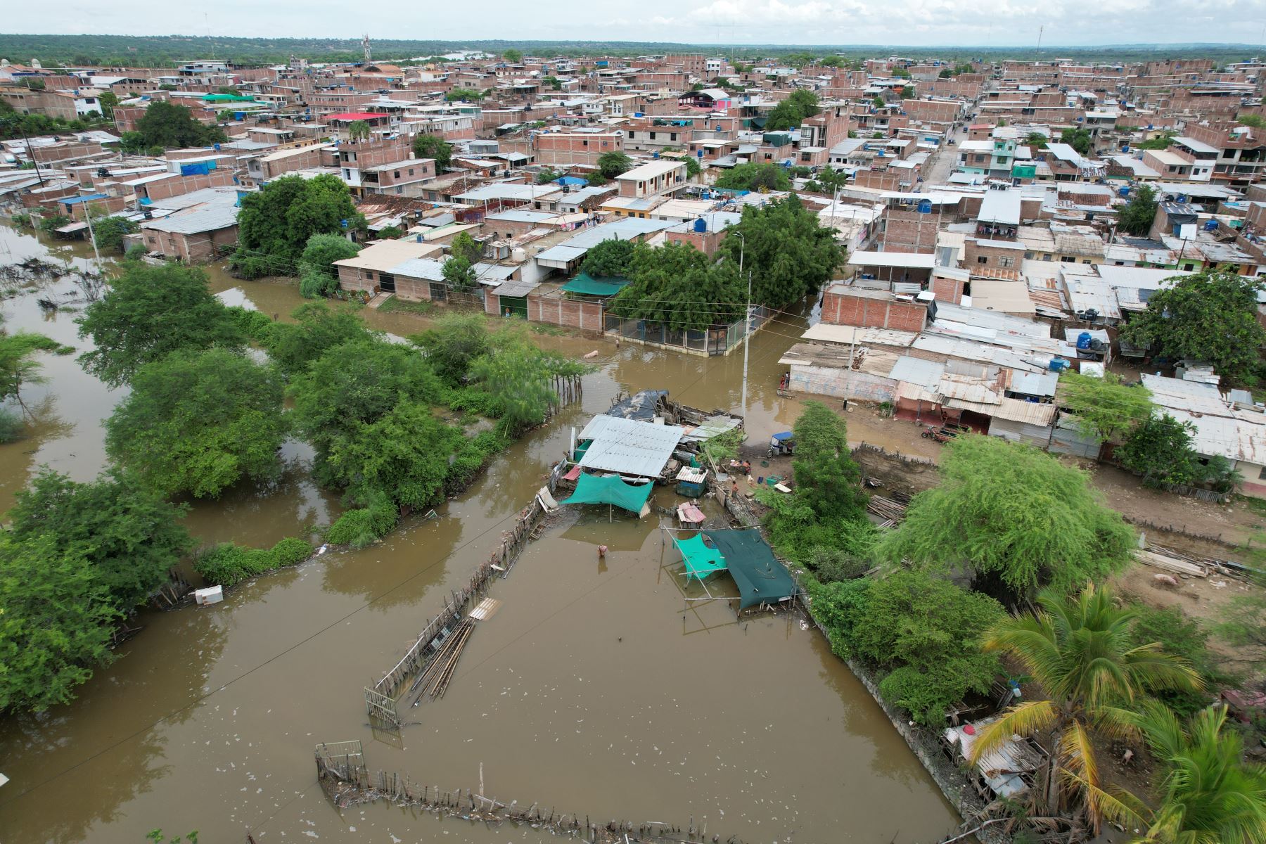 Las viviendas quedaron inundadas después del paso del ciclón Yaku. 