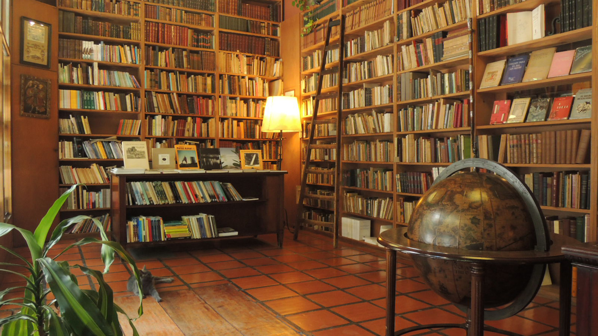 BGH lanzó su nuevo aire acondicionado Inverter X con Rodrigo De Paul como protagonista