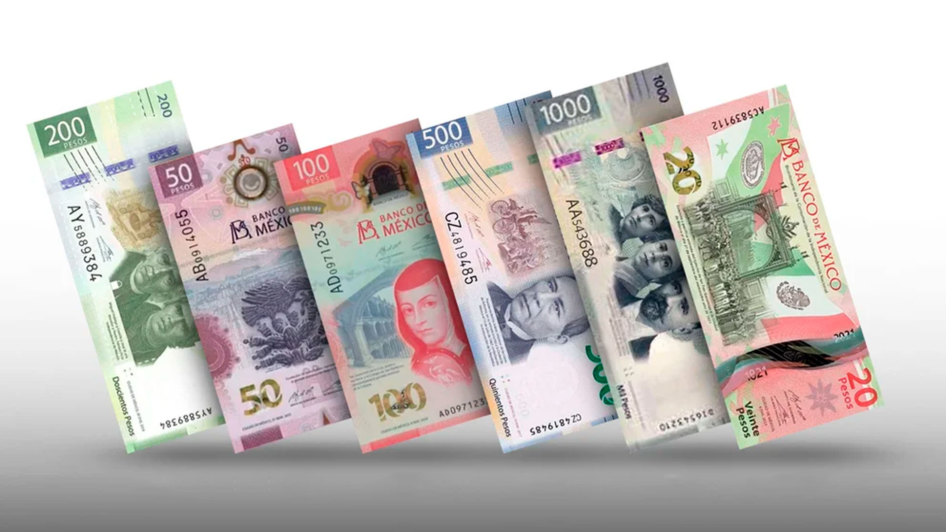Copies of the new family of banknotes.  Infobae