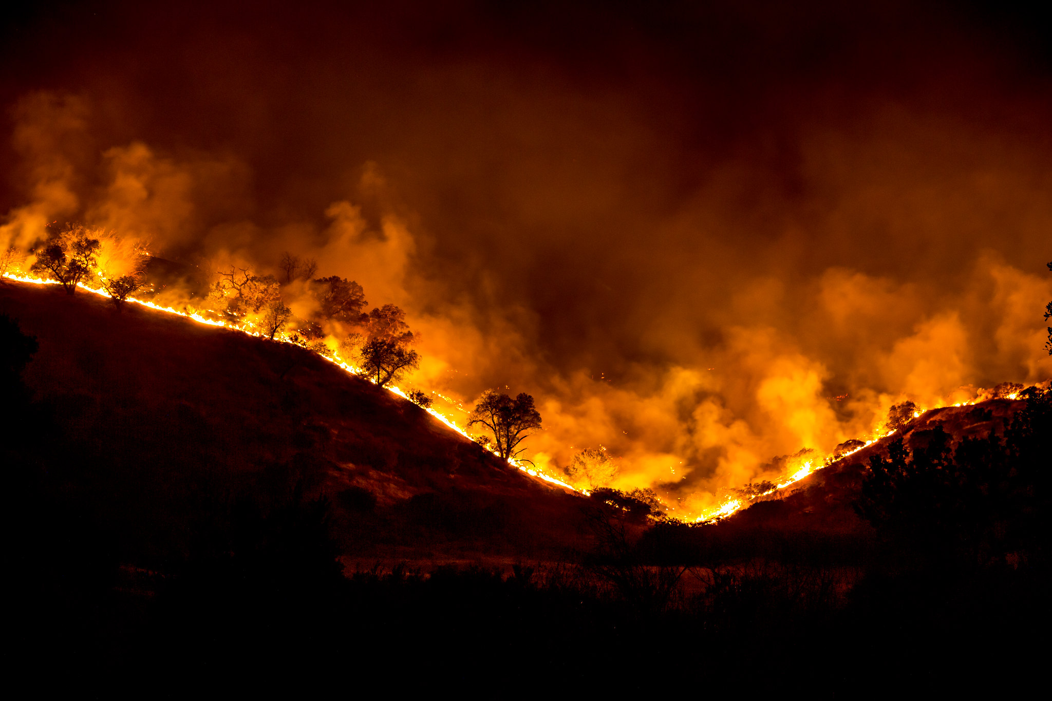 En países como Perú, ya hubo más de 350 incendios forestales durante 2023 y se pronostica que puede haber más por El Niño/
Peter Buschmann