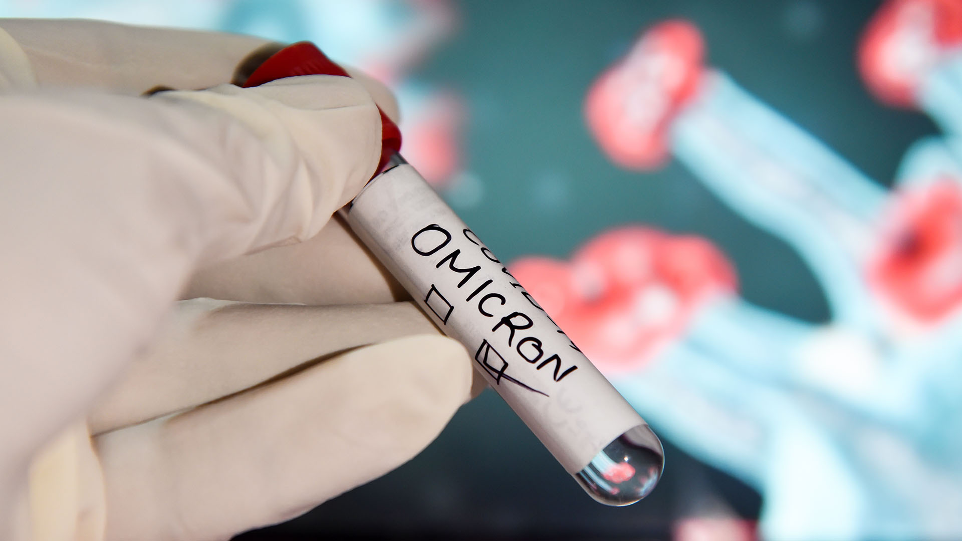 La sublínea Omicron BA.4.6 ya ha sido detectada en pacientes con COVID-19 en España, Chile, Argentina, Brasil, Ecuador, México, Costa Rica, Perú, Israel, Colombia (Getty Images)