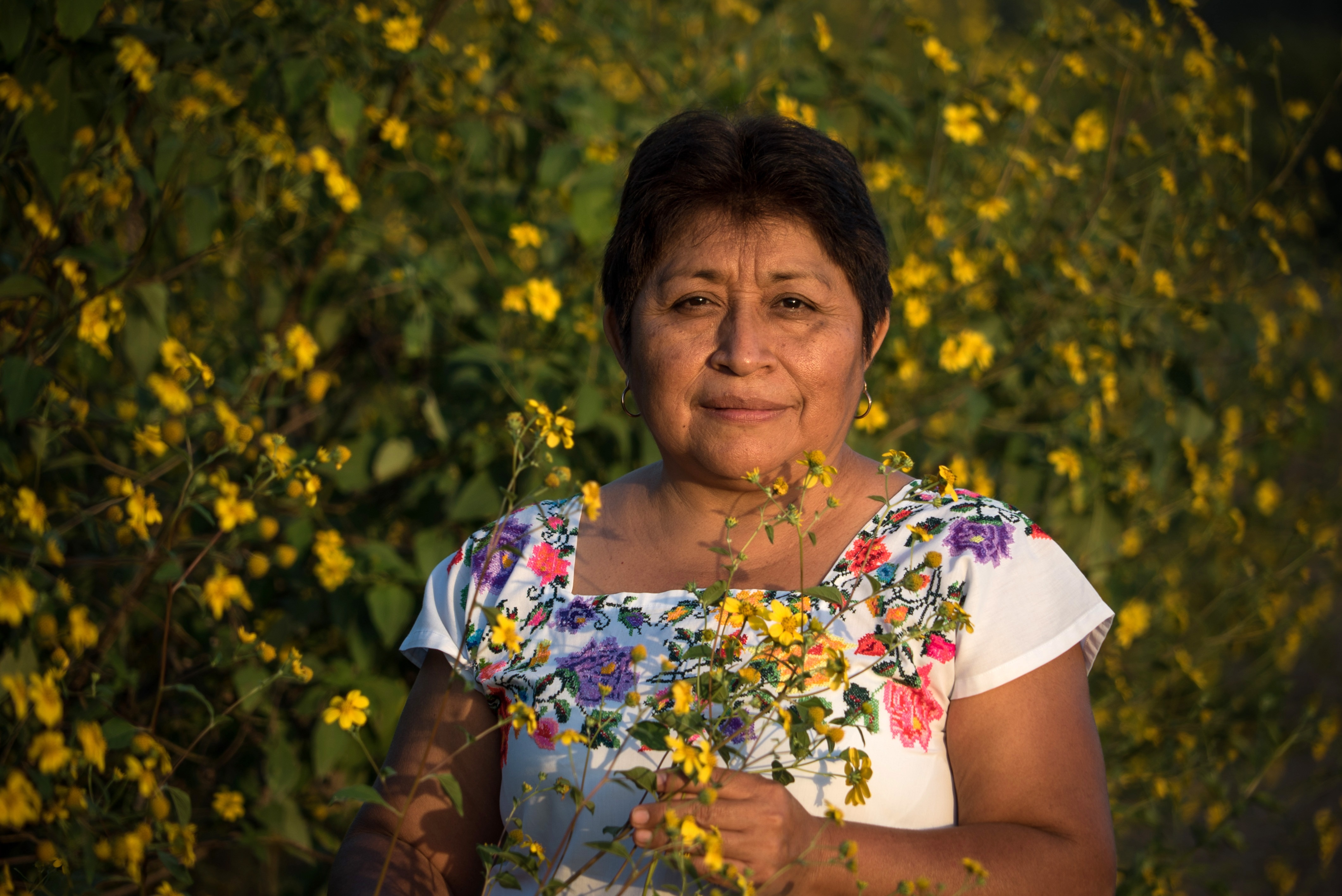 Leydy Pech tiene 58 años, y es una apicultora maya. EFE/Cortesía Robin Canul Suárez /SOLO USO EDITORIAL /NO VENTAS
