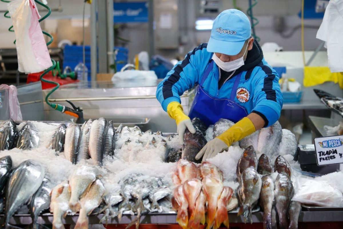 Consumo de pescado es seguro, afirma Produce. | Foto: Gobierno del Perú