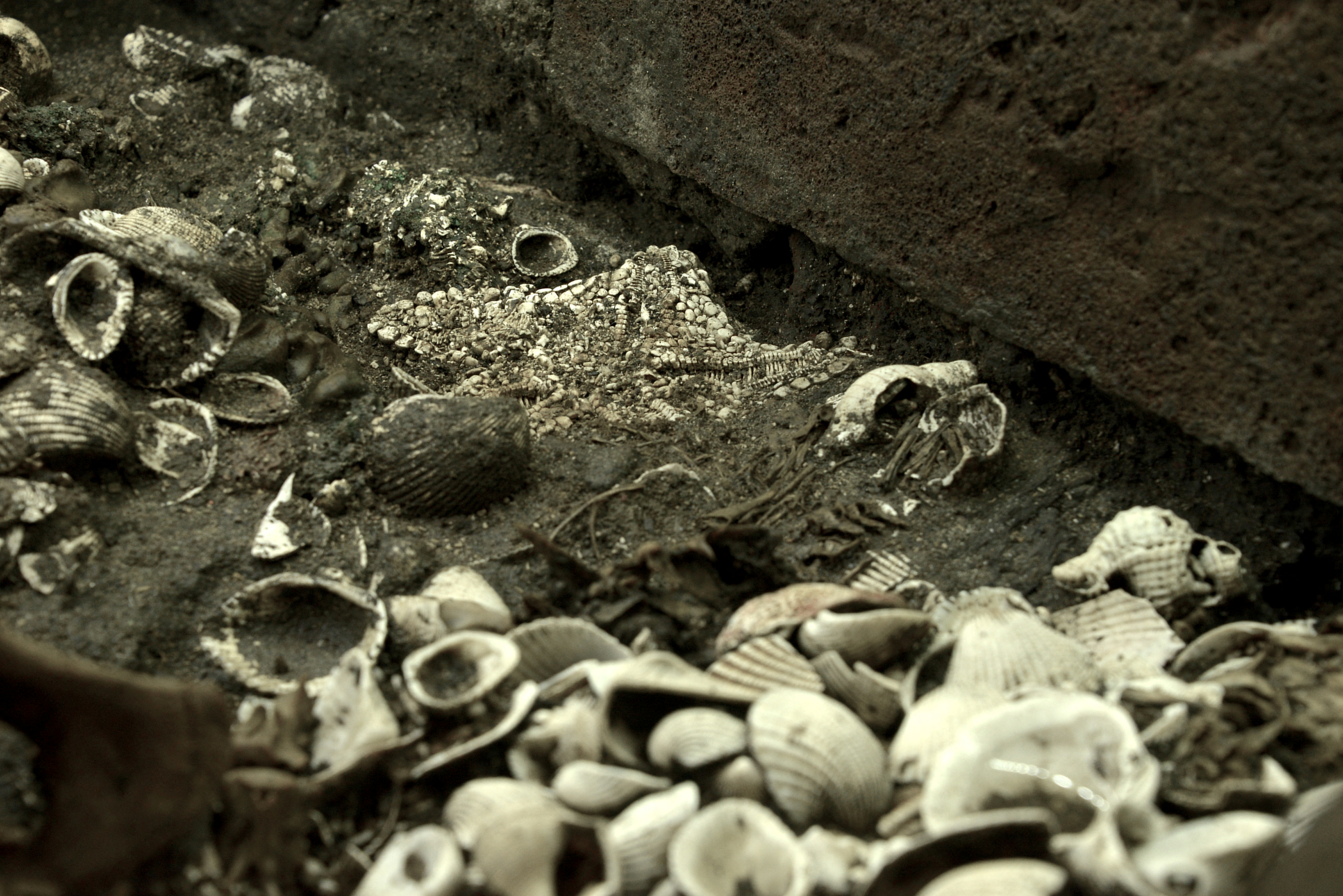 Imagen de referencia de restos aztecas encontrados por el INAH (Foto: Reuters/ INAH)