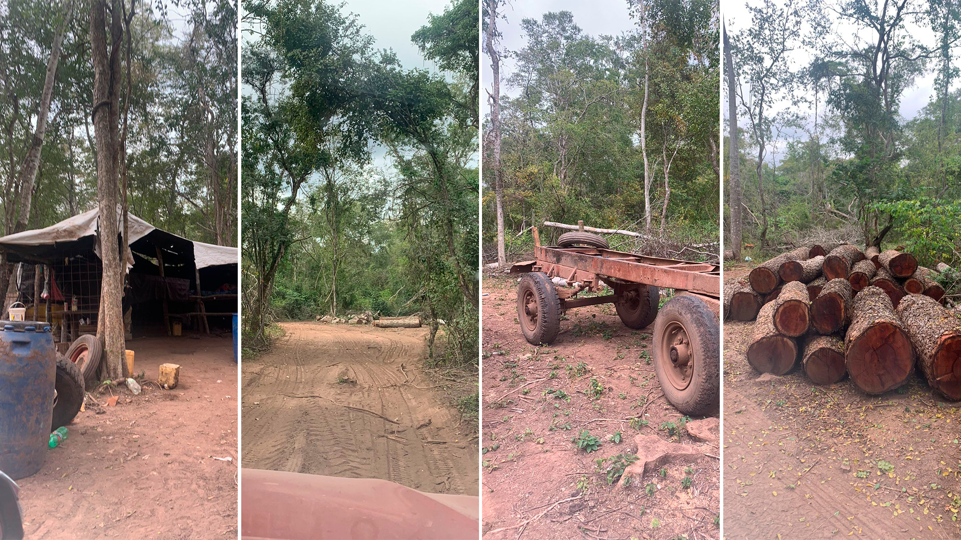 La UBA detectó varios campamentos de tala ilegal de árboles dentro de los campos narco que administra por orden judicial