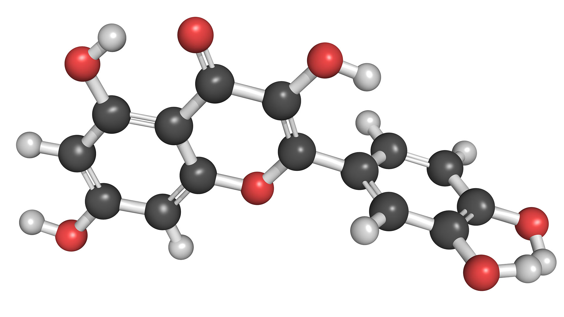 Las moléculas de quercetina son antioxidantes, antiinflamatorias y antialérgicas (Shutterstock)