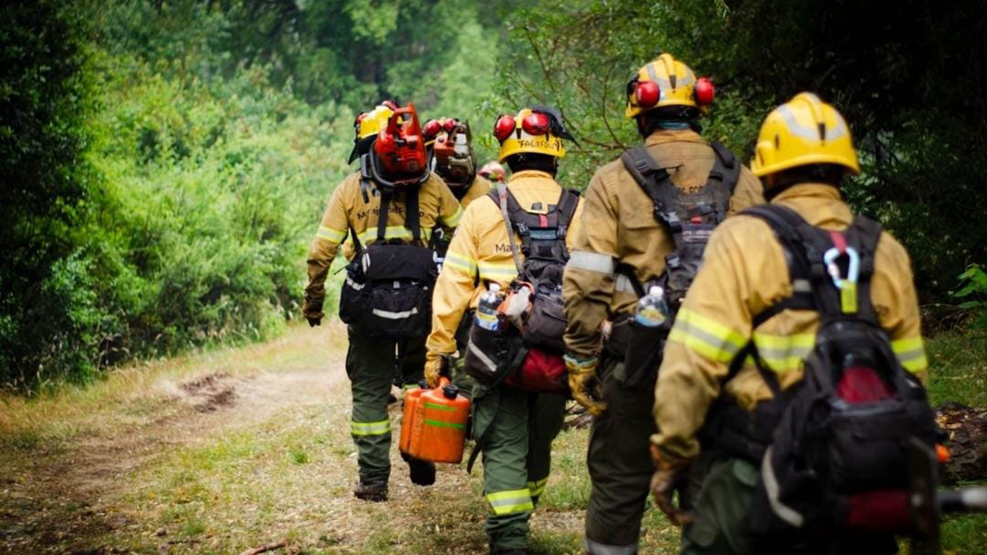 Créditos Anses: cómo consultar el monto de las cuotas pendientes y las fechas de pago