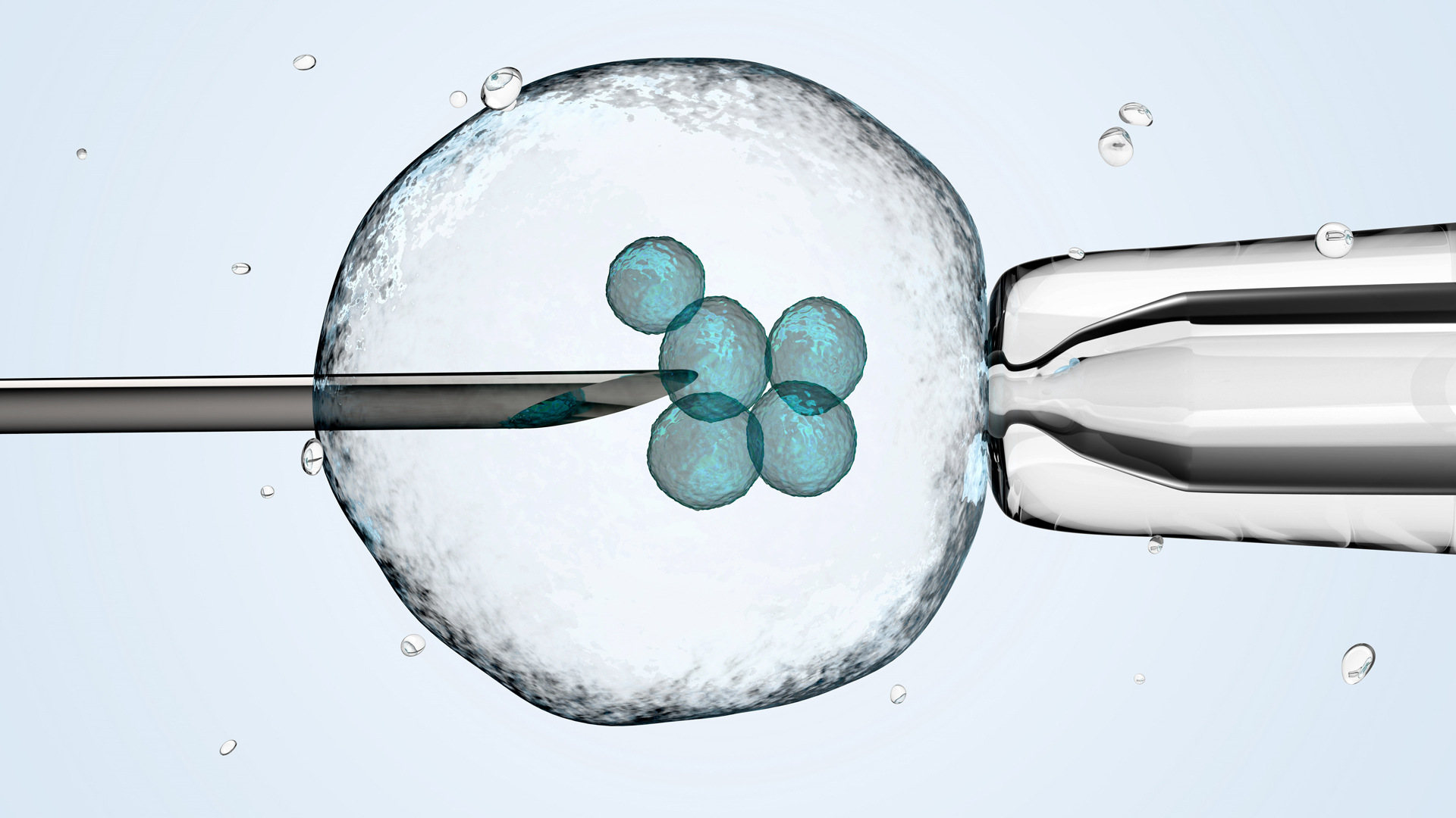 La vitrificación de óvulos y espermatozoides es una alternativa que desde hace años ofrece la medicina para preservar la fertilidad (Getty)