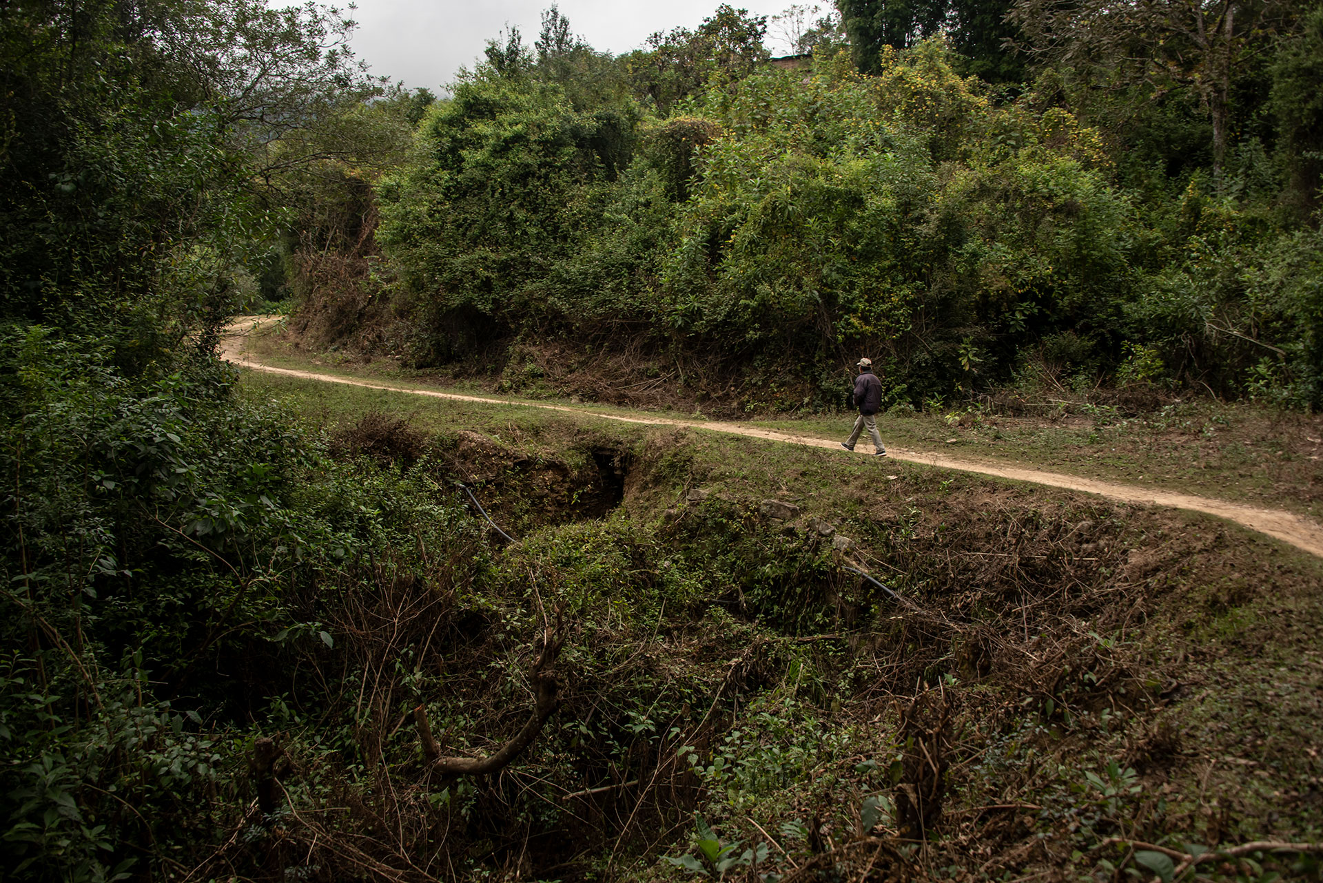 El camino hacia la casa de Pedro Bonilla, en el corazón de la selva de las yungas (Gentileza Juan Mateo Aberastain - Parques Nacionales)