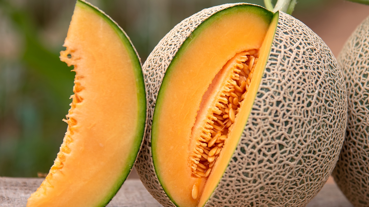 Melon