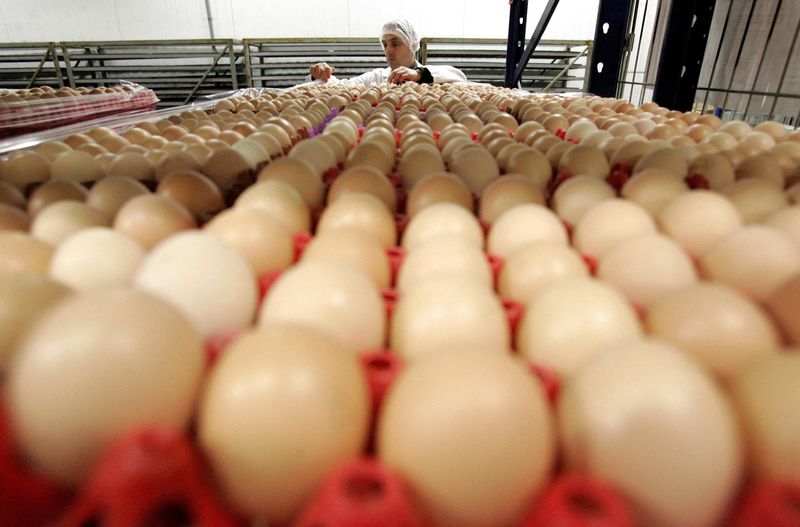 El precio del huevo en los Estados Unidos se quintuplicó en los últimos meses. REUTERS/Franck Prevel