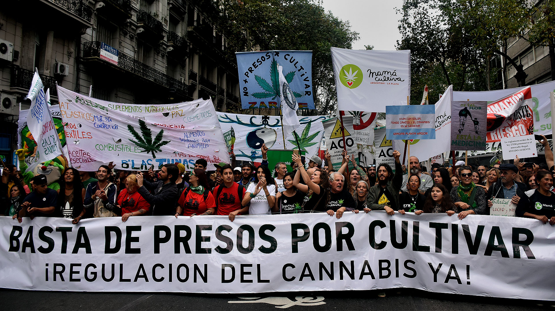 Postal de la marcha por la despenalización de la marihuana en Buenos Aires, mayo de 2018. (Nicolás Stulberg)