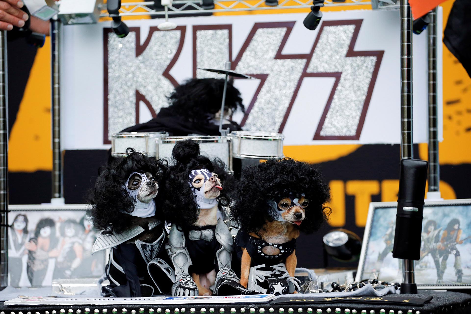 Perros vestidos como Kiss, años atrás en un Halloween dog parade en la Tompkins Square Park, en Manhattan (REUTERS/Eduardo Munoz)