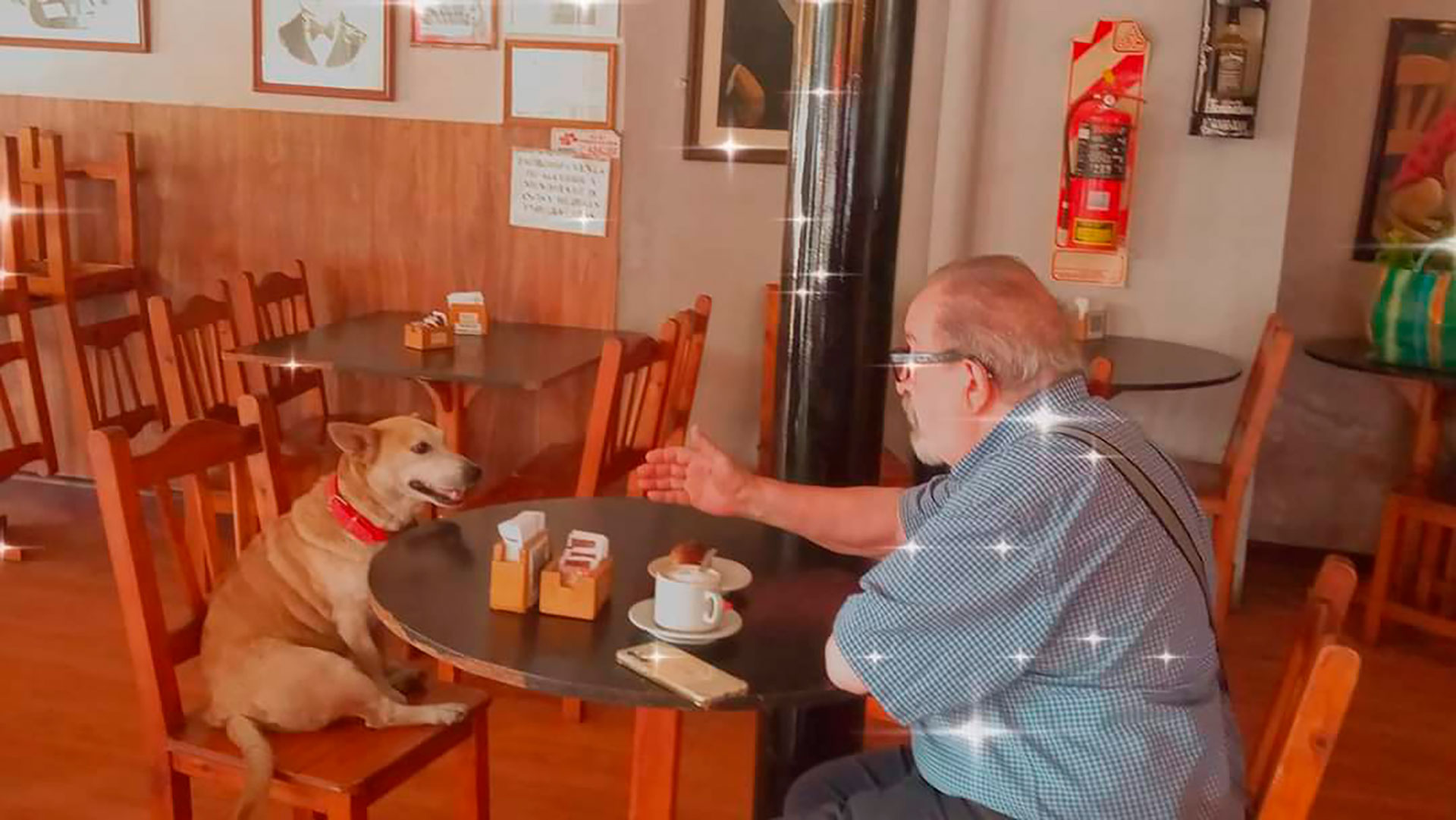 El querido perro comparte horas con los clientes que llegan solos a bar y los escucha muy atento (@dickens_restobar)