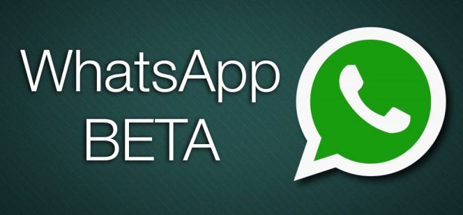 WhatsApp Beta. (foto: Archivo)
