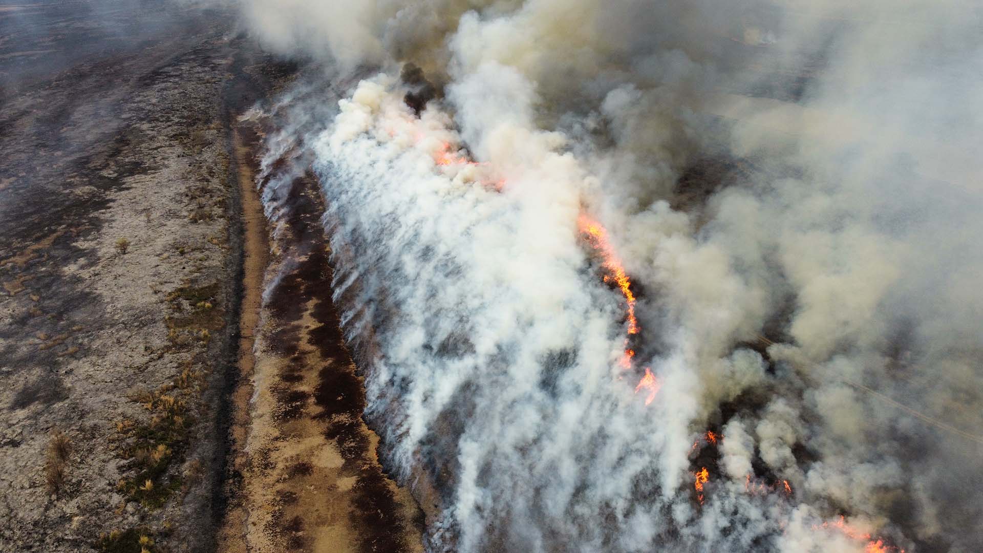 30 fotos impactantes de los incendios en el Delta del Paraná