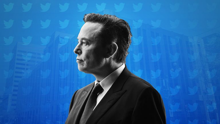Elon Musk frenó el proceso de compra en razón de los bots y su presencia en Twitter. (foto: Sky Times)