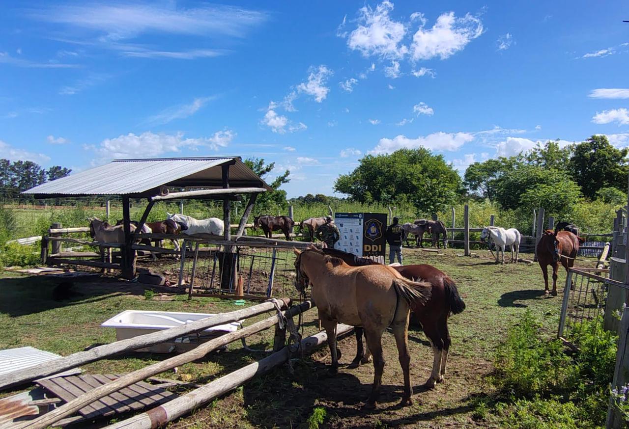 La feroz autocrítica de Milton Casco sobre el presente de River y las definiciones de Gallardo y Enzo Pérez sobre su supuesta pelea