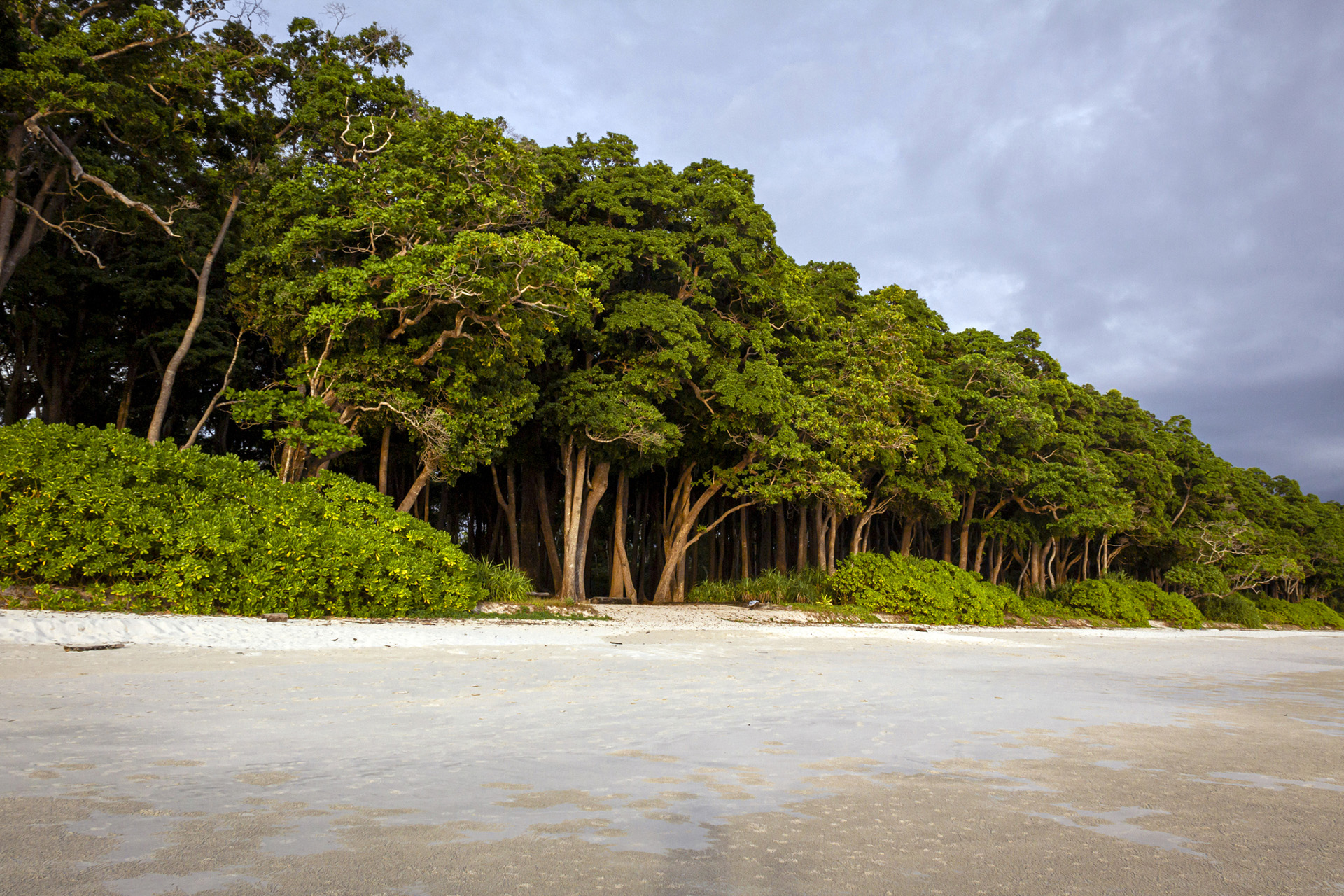 El conjunto de islas es famoso por sus playas de arena blanca bordeadas de palmeras, manglares y bosques pluviales (Getty Images)