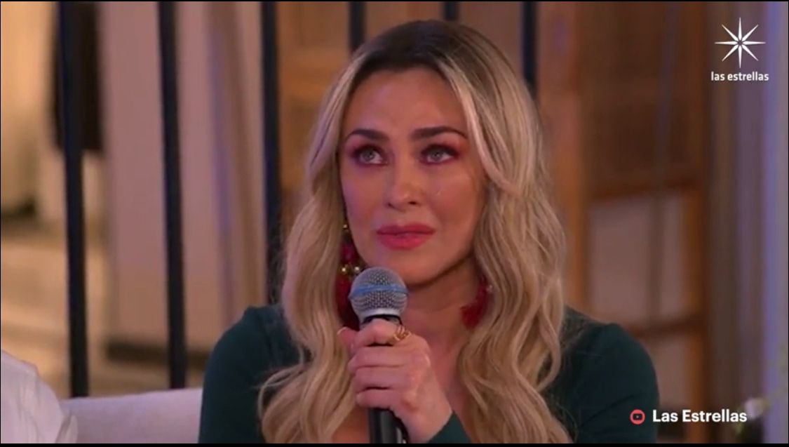Aracely Arámbula assured that she dedicates the entire project to her father (Photo: Televisa capture)