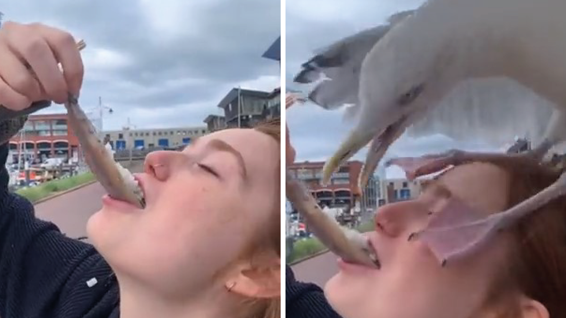 El video ya tiene más de diez millones de reproducciones (Captura Twitter @NoContextBrits)