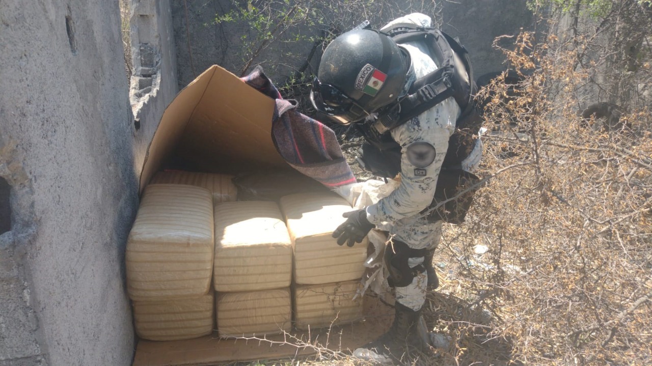 La GN decomisó 100 kilos de marihuana en Nuevo León hace tres días  (Foto: GN)
