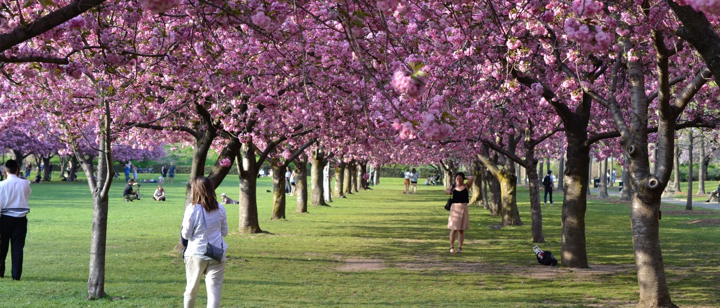 La policía británica detuvo a dos hombres por el incendio de ambulancias de una organización judía