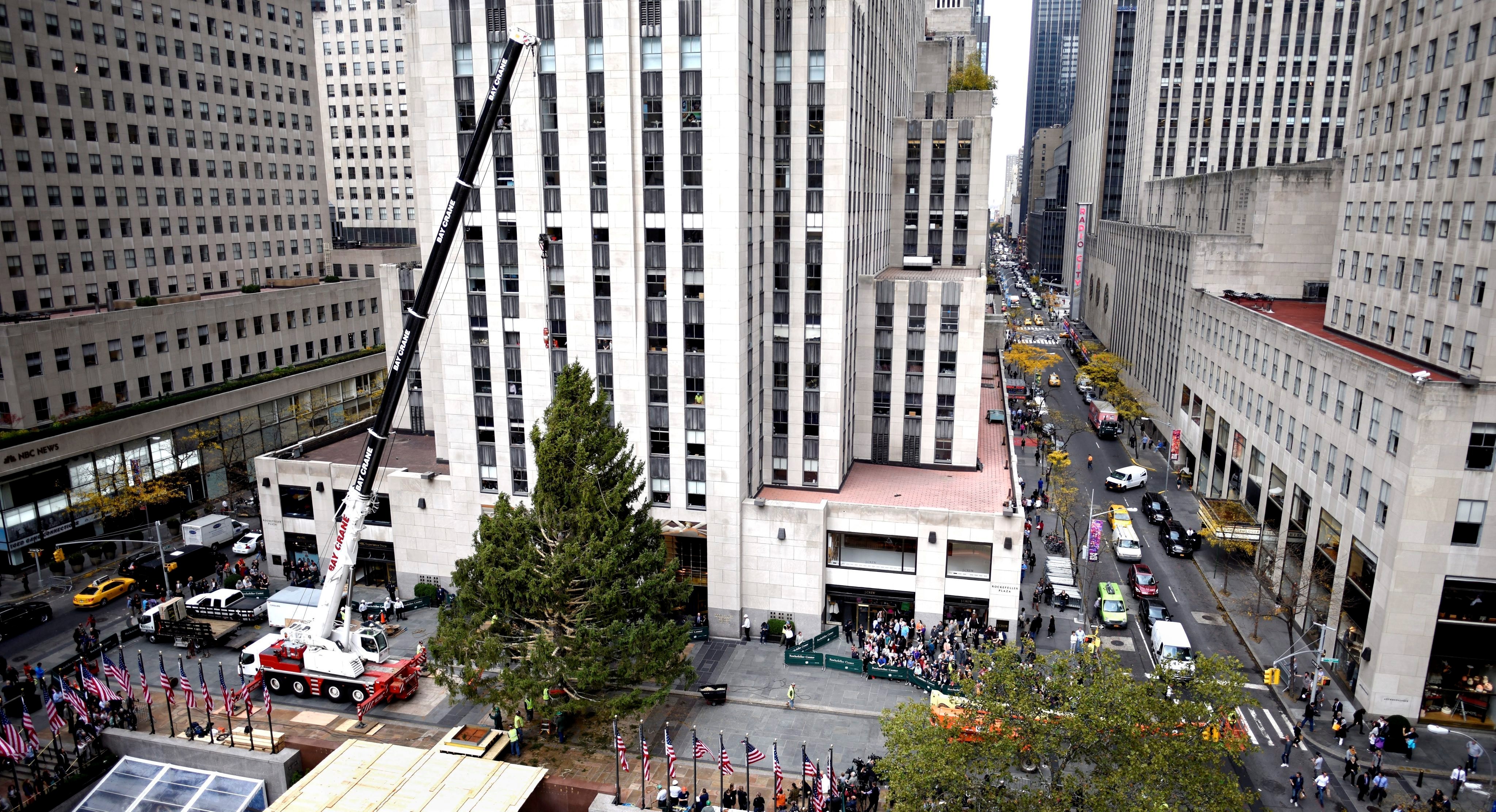 El famoso árbol de Navidad  del Rockefeller Center (EFE) 