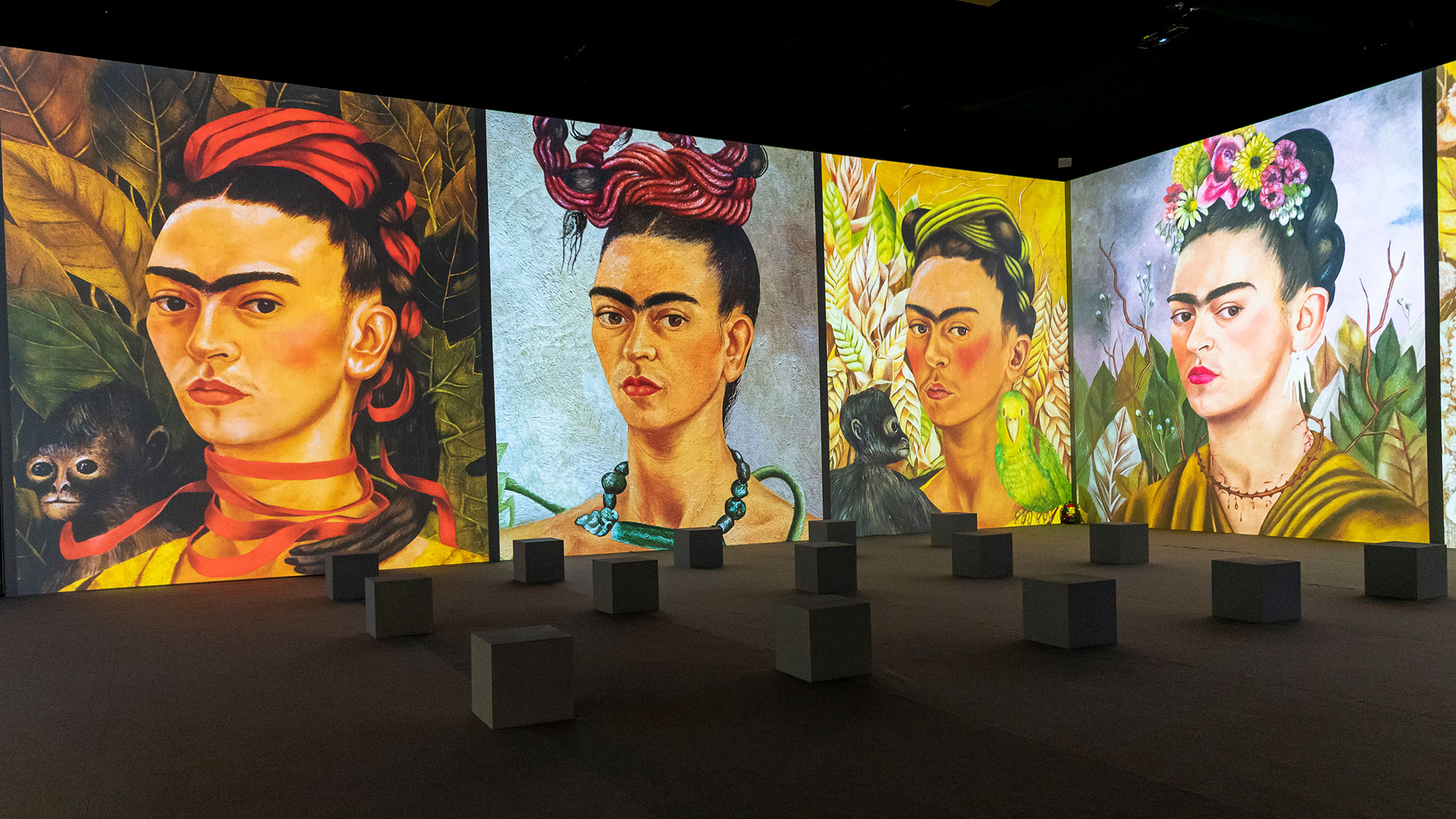 La vida y obra de Frida Kahlo, en una experiencia inmersiva y multisensorial