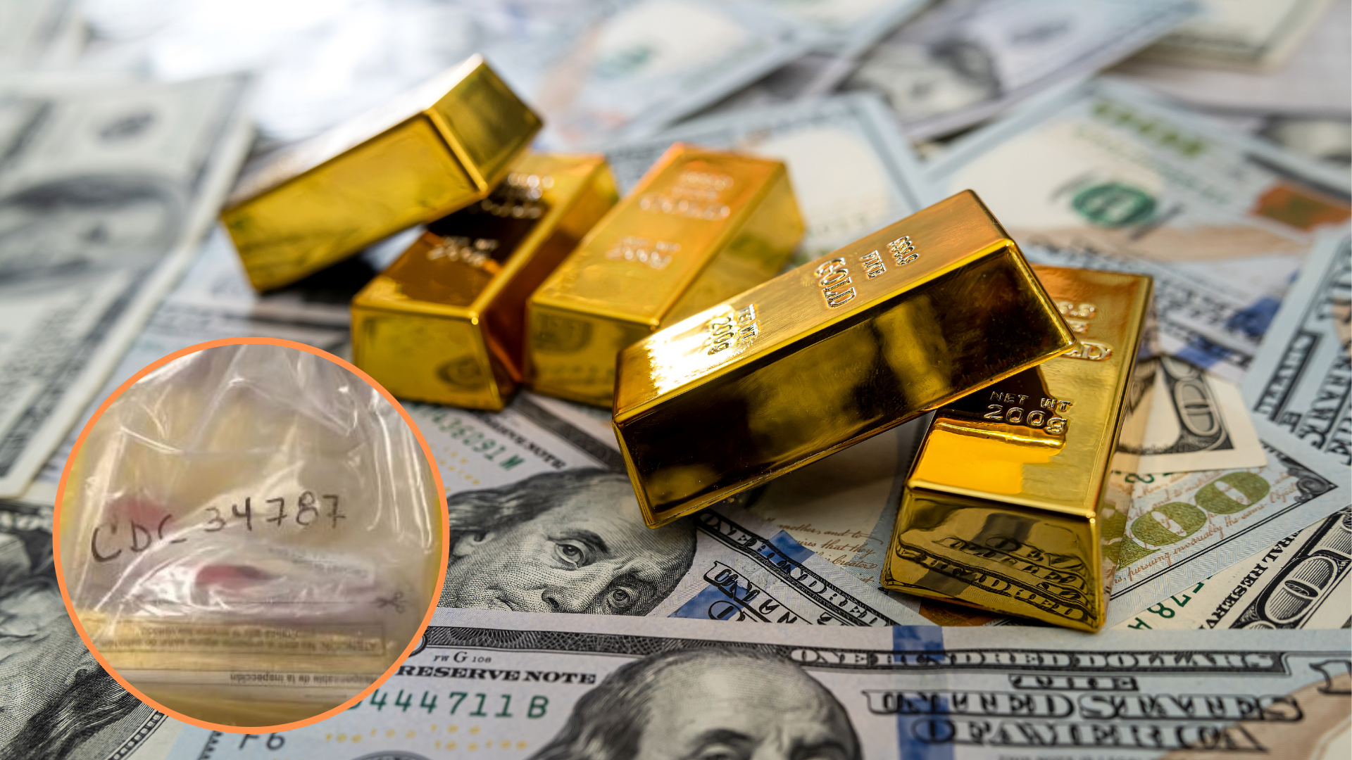 Ella fue la que enfureció, aterrorizó y moldeó a Arundhati Roy