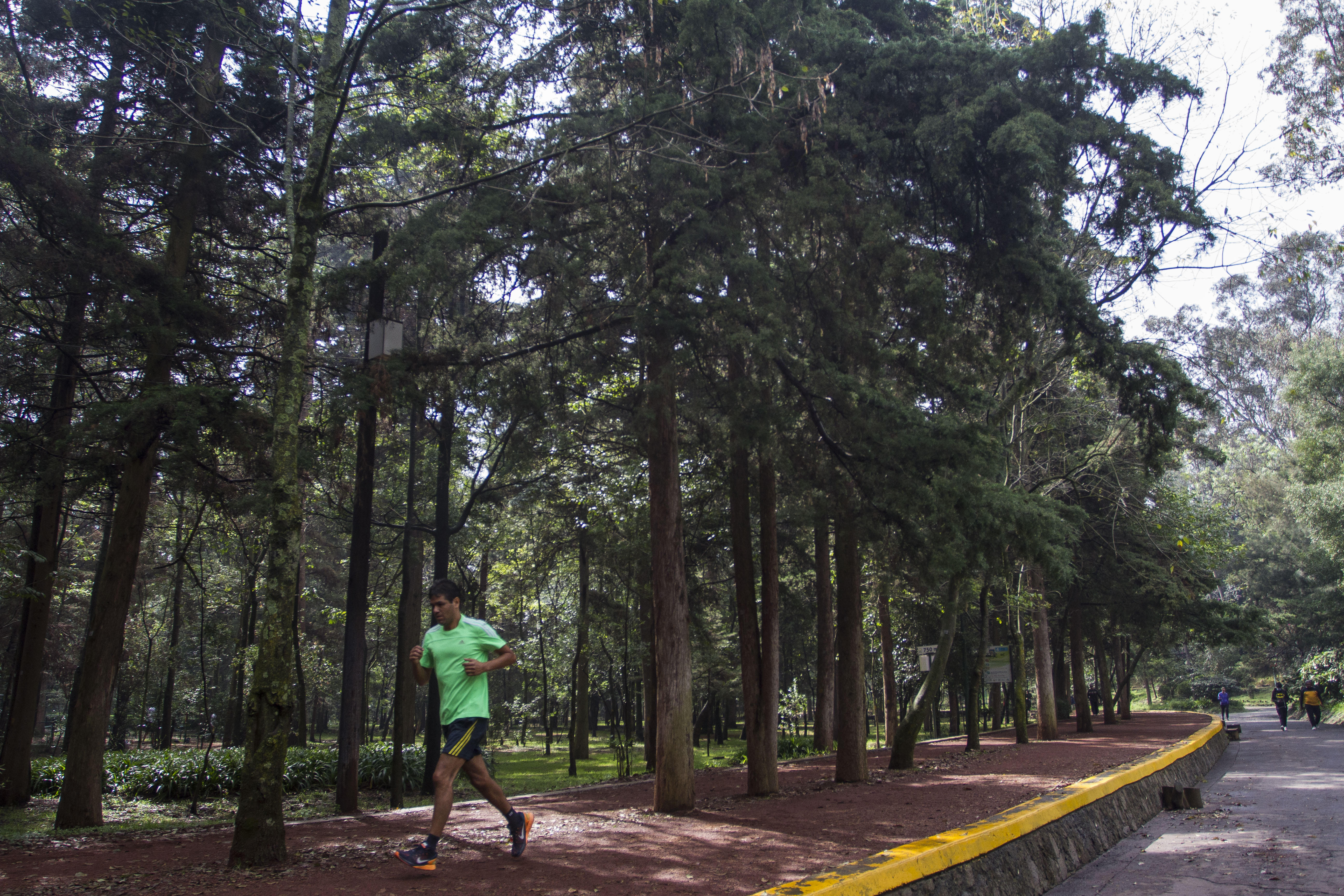 CIUDAD DE MÉXICO, 16NOVIEMBRE2016.- Decenas de personas corren diariamente en el Bosque de Tlalpan, uno de los pulmones naturales de la Ciudad de México.                                                                                                                                                                                                                                                                                                                                                            
FOTO: ISAAC ESQUIVEL /CUARTOSCURO.COM