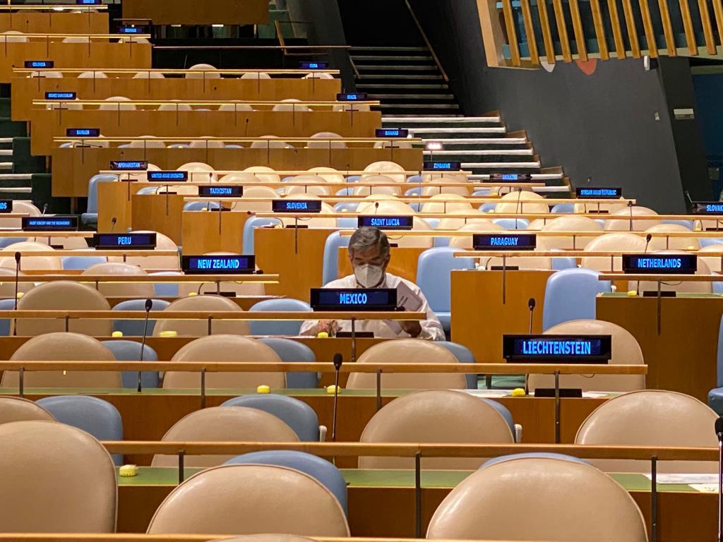 El pleno se vería casi vacío, solo con representantes de las delegaciones permanentes