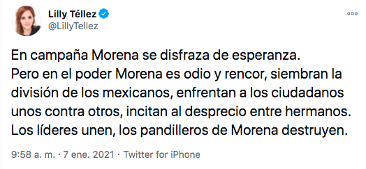 Morena se disfraza de esperanza, pero es odio y rencor”: la frase de Lilly  Téllez contra el partido de AMLO - Infobae