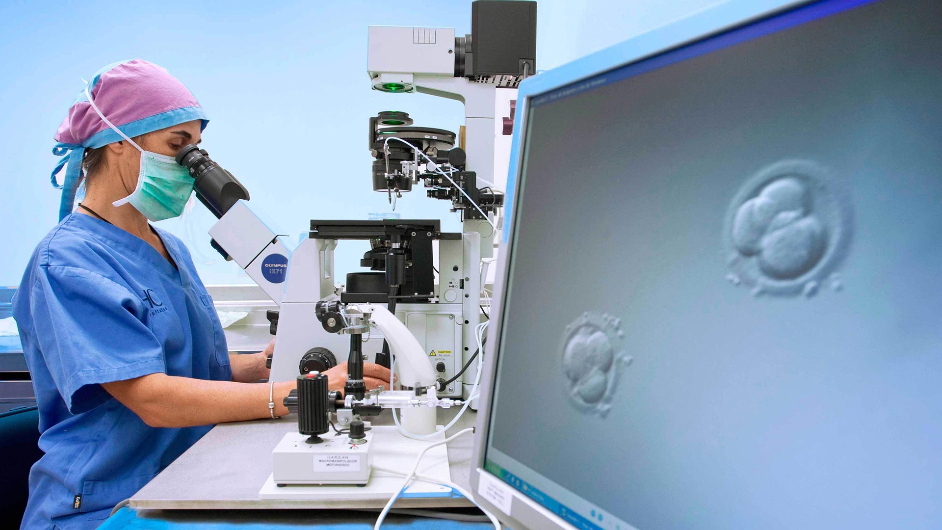 Los análisis del embrión para poder determinar su desarrollo se realizan a través de la observación de los fluidos de células 