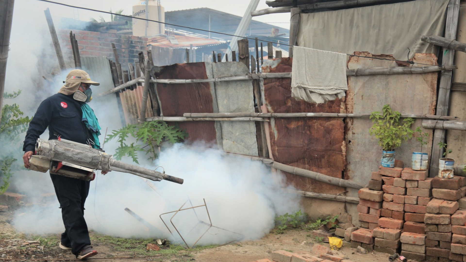 Dengue en Piura: Fumigan 34 mil viviendas para controlar enfermedad ante los más de 39 mil casos