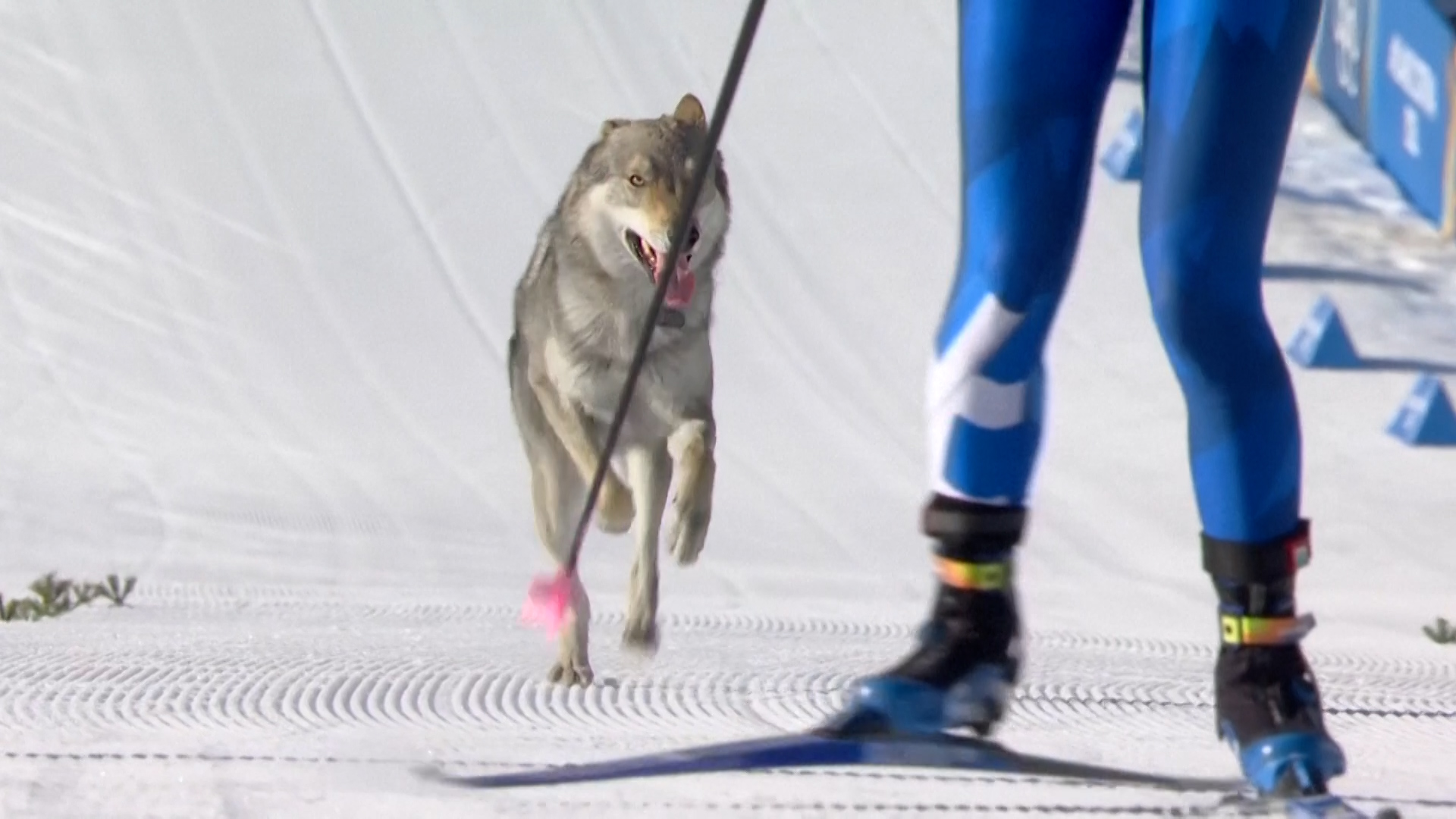 El Gobierno analiza el caso de Fate como un capítulo de la reconversión industrial y culpa a los sindicatos