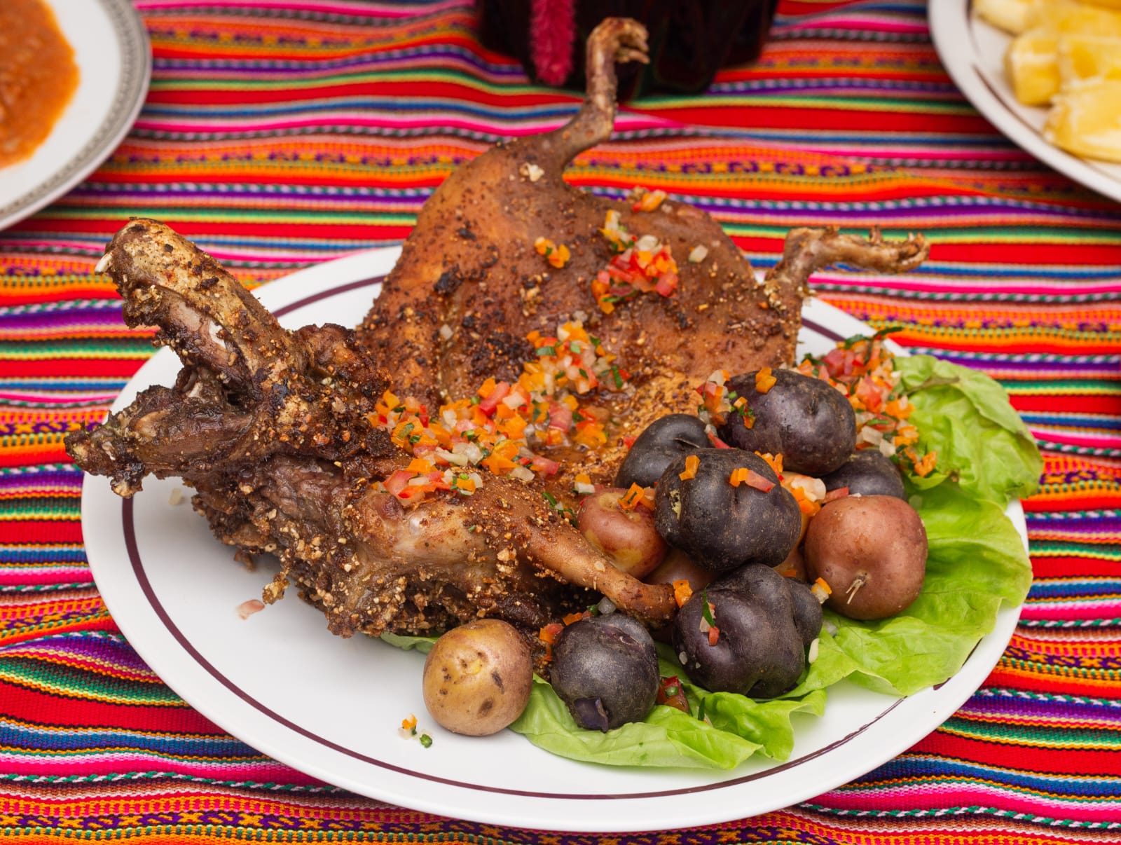 Cuy, el superalimento peruano con nutrientes que combaten el cáncer y la anemia - Infobae