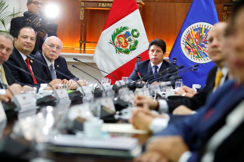 EN VIVO Misión de la OEA entrega informe preliminar sobre la crisis en Perú a su Consejo Permanente