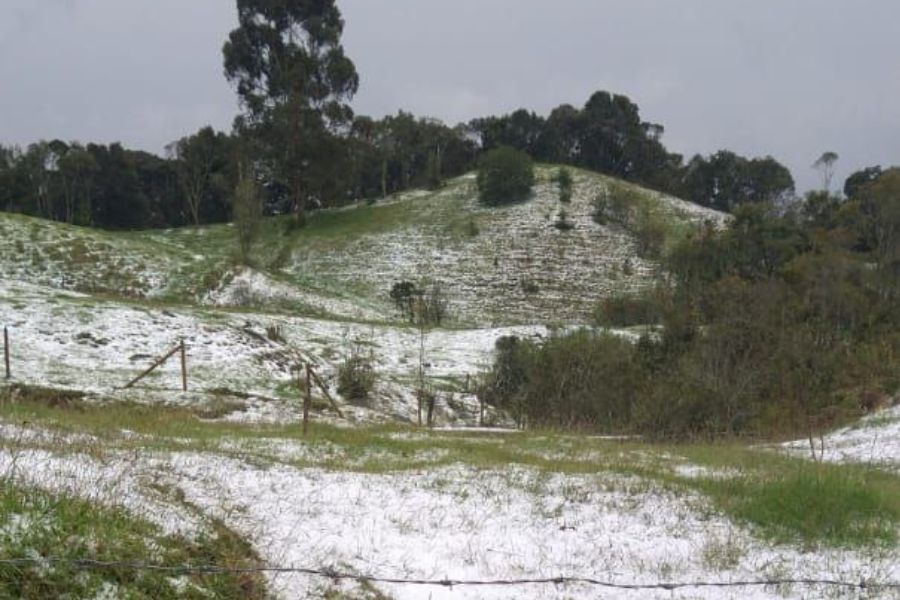 Granizada En Antioquia Dejó Graves Daños En Cultivos Infobae